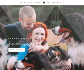Sledzikujacybern.pl(Aukcja domeny) Screenshot