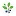 Sloetree.co.uk Favicon