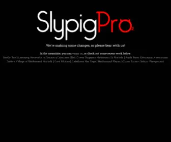 SLypigpro.com(Web Design & Hosting...without all the fat. SlypigPro) Screenshot