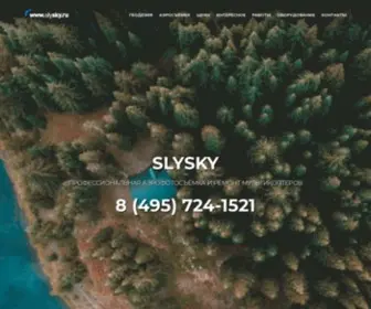 SLYSKY.ru(АЭРОФОТОСЪЕМКА в Москве и МО) Screenshot