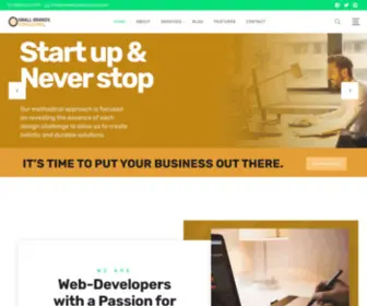 Smallbrandsconsulting.com(Web-Development For Small Businesses) Screenshot