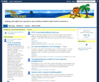 Smallfishbigocean.com(Small Fish Big Ocean) Screenshot