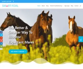 Smartfoal.com(Smart Foal) Screenshot