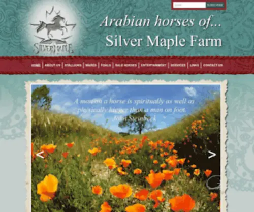 Smfarabs.com(Arabian horses of) Screenshot