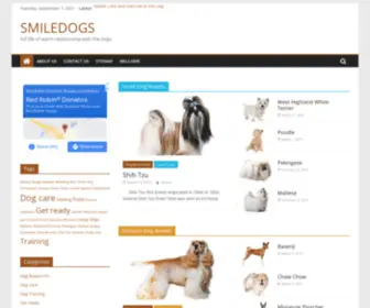 Smiledogs.com(Full life of warm relationship with the dogs) Screenshot