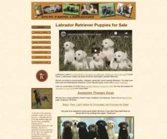 Smithfarmslabradors.com(Labrador Retriever Puppies) Screenshot