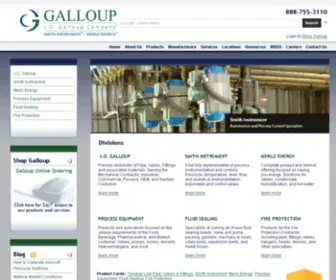 Smithinstrument.com(Galloup Company) Screenshot