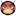 SMmgiant.com Favicon