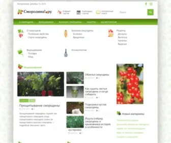 Smorodina1.ru(Смородина) Screenshot