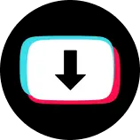 Snaptikvideo.com Favicon