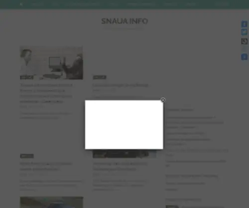 Snaua.info(Новости) Screenshot