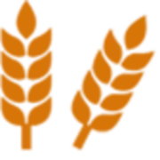 Snec.ro Logo