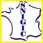 Snigic.com Favicon