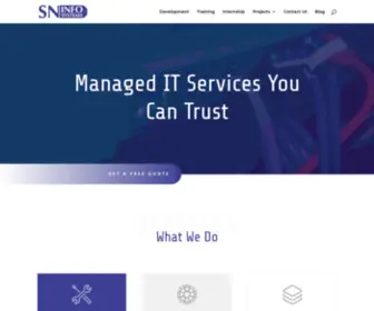 Sninfosystems.com(SN Infosystems) Screenshot