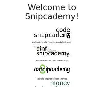 Snipcademy.com(Snipcademy) Screenshot