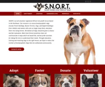 Snortrescue.org(Adopt a French Bulldog) Screenshot