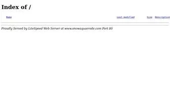Snowaquaerode.com(Snowaquaerode) Screenshot