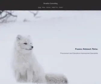 Snowfox.consulting(Snowfox Consulting) Screenshot