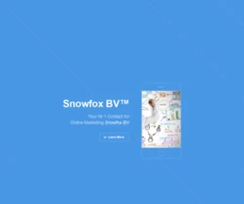 Snowfoxbv.com(Welcome at the internet presence of the Snowfox BV) Screenshot
