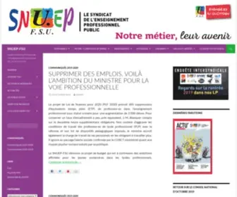 Snuep.fr(Le syndicat de l'enseignement professionnel public) Screenshot