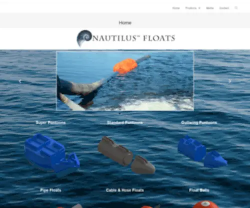 SNyderplasticsolutionsflotation.com(Flotation Solutions) Screenshot