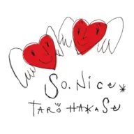 SO-Nice.jp Logo