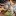 Soapmakingnatural.org Favicon