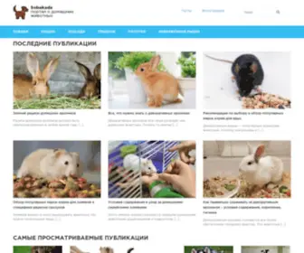 Sobakada.ru(портал о домашних животных) Screenshot
