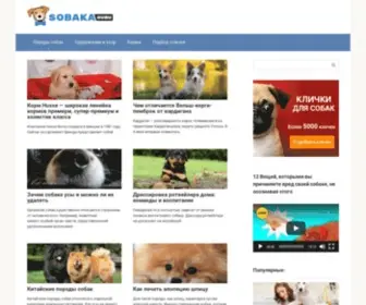 Sobaka.guru(Все о собаках) Screenshot