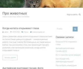 Sobakavdar.ru(Этапы развития) Screenshot