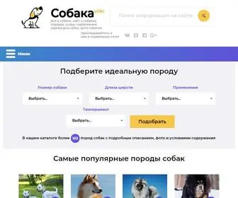 Sobaka.wiki(Собака) Screenshot