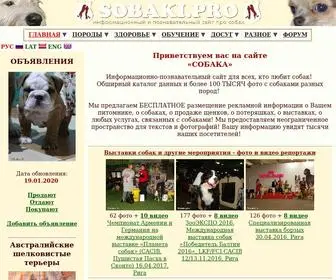 Sobaki.pro(информационный и познавательный сайт про собак. Фото) Screenshot