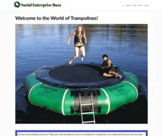 Socialenterprisebuzz.com(The World of Trampolines) Screenshot