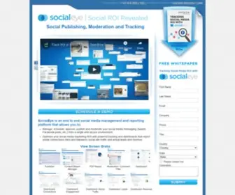 Socialeye.com(Social ROI) Screenshot
