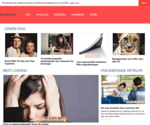 Socmedarch.org(Världens) Screenshot