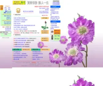 Sodo.com.tw(首都資訊) Screenshot