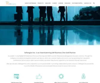 Softengineusa.com(SAP Business One Gold Partner) Screenshot