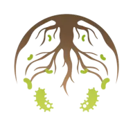 Soilbiom.com Favicon