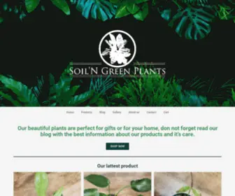 Soilngreenplants.com(Soilngreenplants) Screenshot