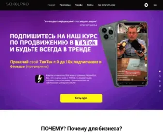 Sokolpro.com(курсы) Screenshot
