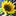 Solarconcept.at Favicon