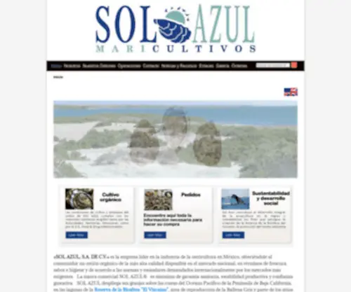 Solazul.com.mx(SOL AZUL) Screenshot