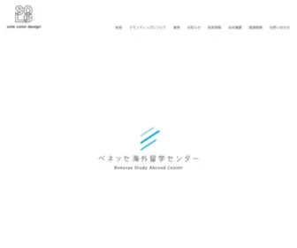 Sole-Color.co.jp(コンサルティング会社) Screenshot