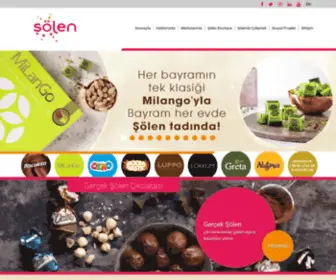 Solen.com.tr(Değerlerine bağlı kalarak) Screenshot