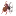 Solitaire-Spider.com Favicon