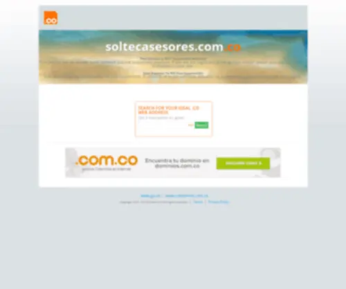 Soltecasesores.com.co(Asesores comerciales en Bogotá) Screenshot