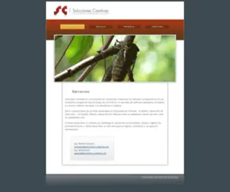 Soluciones-Creativas.net(Soluciones Creativas) Screenshot