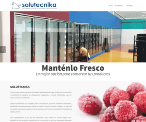 Solutecnika.com.mx(Solutecnika) Screenshot