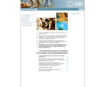 Som-Ingenierie.com(Carrières) Screenshot