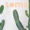 Soma-Optical.com Favicon